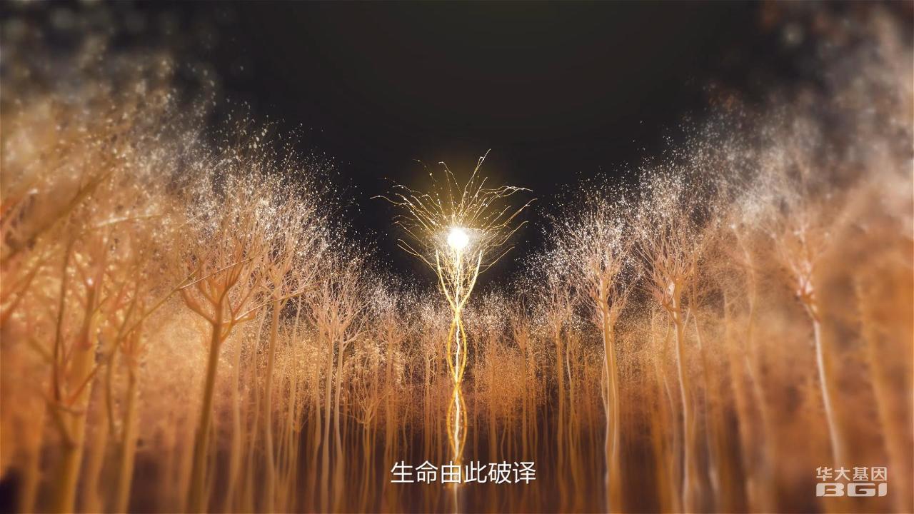 华大基因